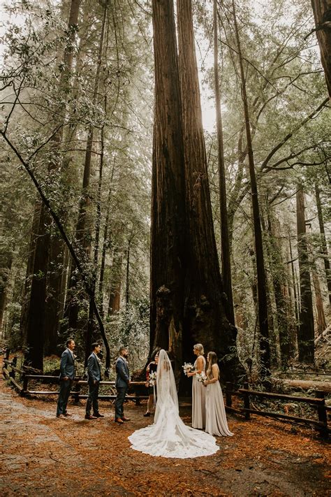 Muir Woods Wedding | How to Elope in Muir Woods - Meagan Puett