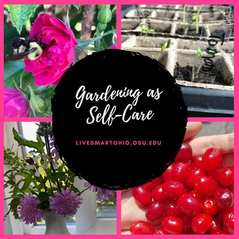 Gardening as a Self-Care Practice - Live Smart Ohio