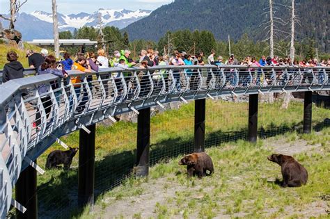 Why to Visit Anchorage | An Urban & Wild City of U.S - Airowings