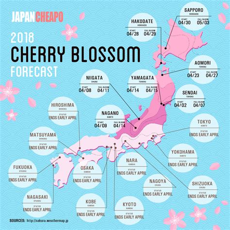 2018 Japan Cherry Blossom Forecast by Major City | Japan Cheapo