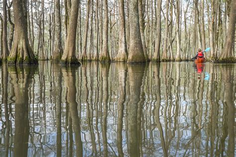 Chicot State Park for paddle and hiking adventure | The Heart of Louisiana