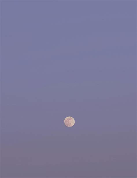 A Full Moon in the Sky · Free Stock Photo