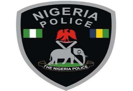 Top 10 functions of the Nigerian Police Force and brief history Legit.ng