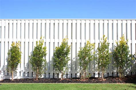 Good Neighbour Timber - Painted White | Good neighbor fence, Timber fence, Fence landscaping