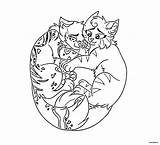 Warriors Cats Coloring Pages 90 Free Printable sketch template