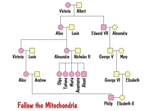 Sally Hemings Family Tree