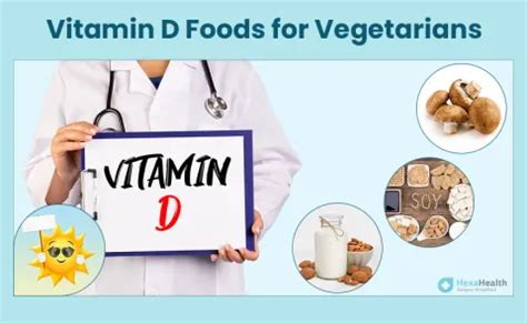 Top 10 Vitamin D Rich Healthy Foods for Vegetarians