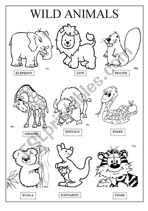 Wild Animals Printables