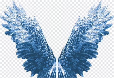 Eagle Angel Wings Zip, blue wings illustration, png | PNGEgg