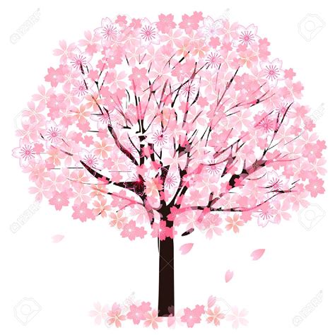 clipart cherry blossom tree 10 free Cliparts | Download images on Clipground 2024