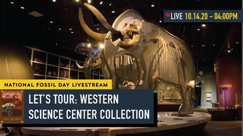 Let's Tour!: Western Science Center - YouTube