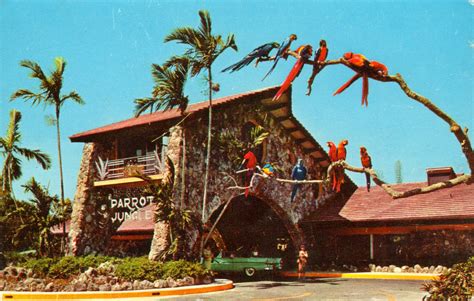 Vintage Chrome Postcards: The Parrot Jungle