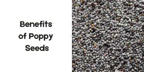 Poppy seeds benefits | Tips to stay healthy