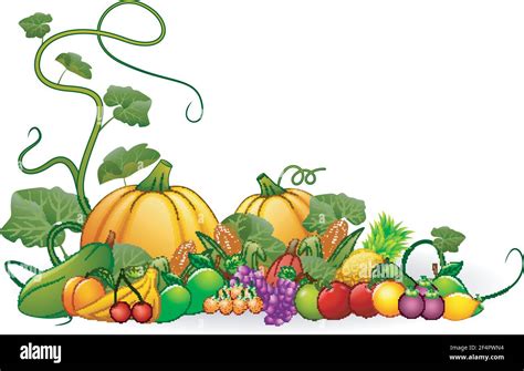 Vector illustration of Autumn harvest of vegetables and fruits Stock Vector Image & Art - Alamy