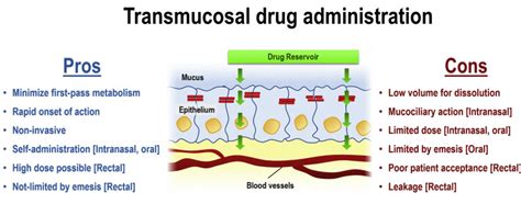 Transmucosal drug administration as an alternative route in palliative and end-of-life care ...