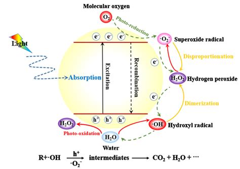 Schematic diagram illustrating the mechanism of photocatalysis ...