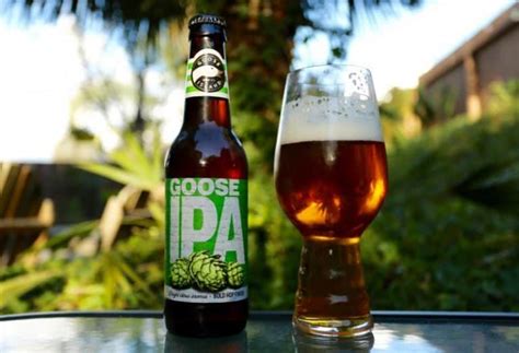 Top 20 IPA Beer Brands You Can Buy from Stores