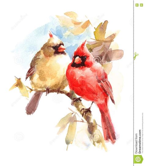 Home & Living Wall Décor Original watercolor female cardinal bird painting 5x7 inches Home Décor ...