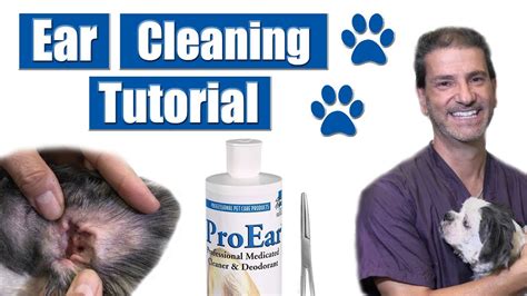 How To Clean Dog Ears | Pet Grooming Tutorial - YouTube