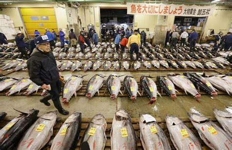 New documentary on Tsukiji fish market captures essence of nation's 'lively kitchen' | The Japan ...