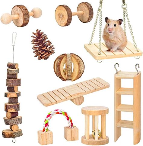 Amazon.com: gerbil toy