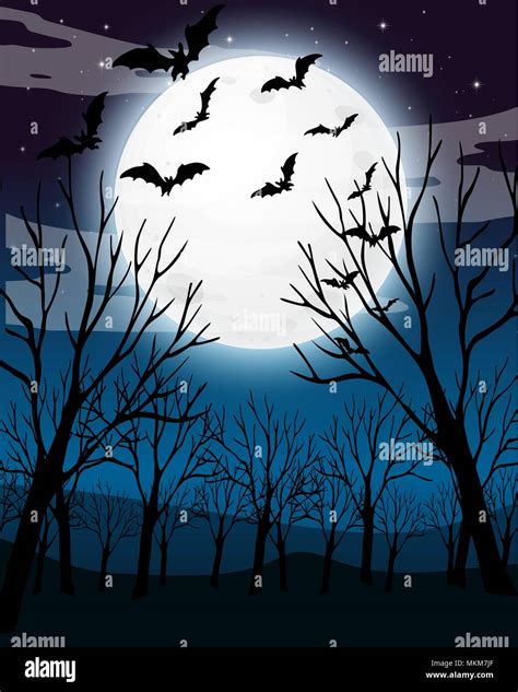 Scary Dark Night Forest Background illustration Stock Vector Image & Art - Alamy