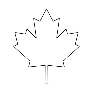 Maple Leaf Canada Flag Outline - Janeforyou