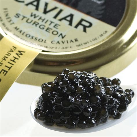 American White Sturgeon Caviar Malossol - buy caviar online at Gourmet Food World