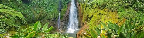 Bajos del Toro Waterfall Hike Guide | Costa Rica Experts