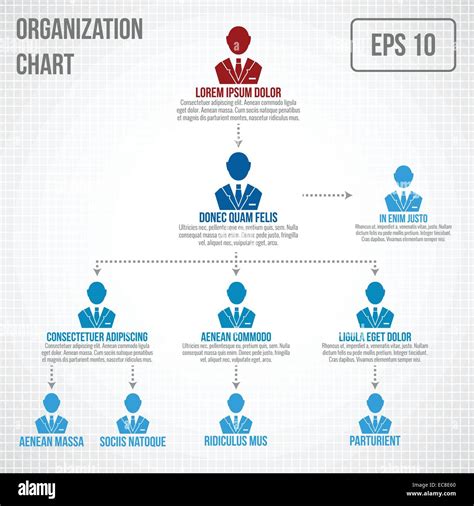 Organizational chart infographic business hierarchy boss to employee structure vector ...