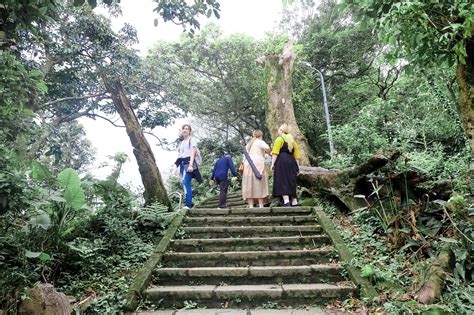 Taiwan: Elephant Mountain, My First Hike Abroad - Wander B