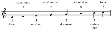 mapping major scale degrees chart Guitar music scales chart scales chords positions beginners chord