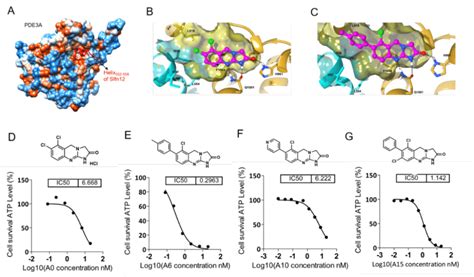 Structure-guided optimization of Anagrelide led to A6 with significant... | Download Scientific ...