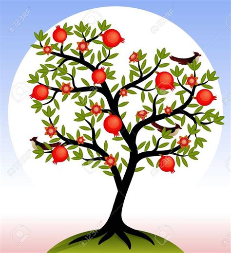 Fruit tree. Pomegranate tree with fruits and flowers. Birds on the tree. Vector illustration ...