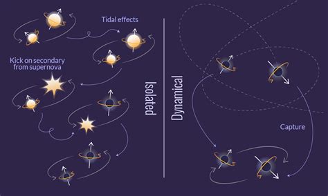 Black Hole Formation Diagram