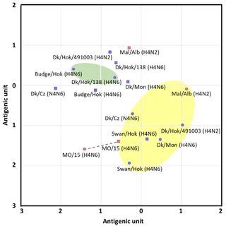 Antigenic cartography based on the cross-HI test of the viruses and ...