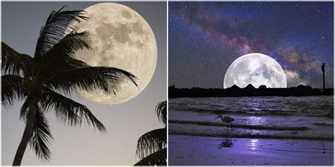 The best Florida dark sky parks you need to visit at least once (MAPPED) - UNCOVERING FLORIDA ...