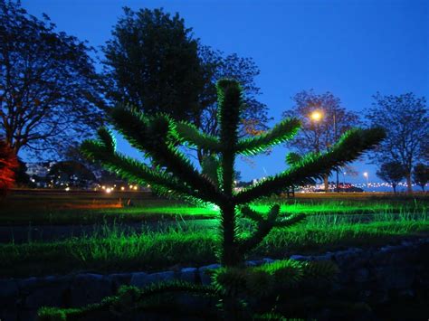 Torre Abbey Beach - Photo "Torre Abbey The Kings Gardens" :: British ...