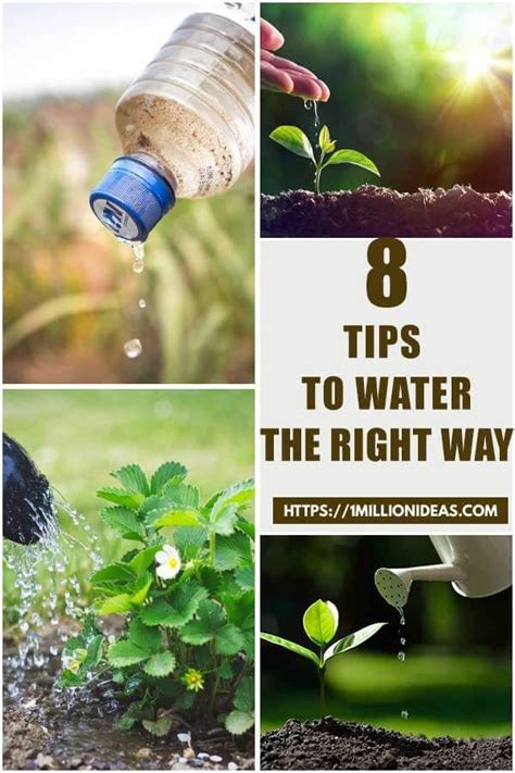 How To Tell Your Plant Needs Water: A Comprehensive Guide