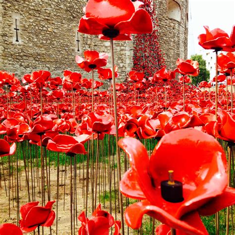 Tower of London Poppy display | Remembrance sunday, Poppies, Tower of london