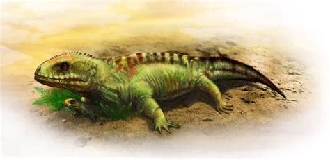 Seymouria | Dinosaurs - Pictures and Facts