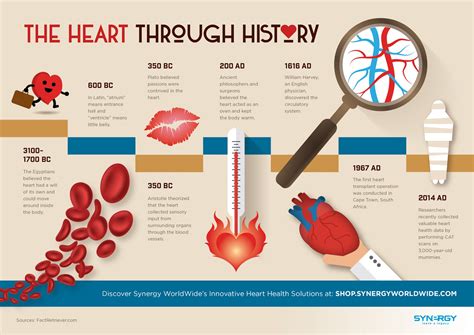 INFOGRAPHIC: The Heart Through History - Synergy WorldWide Blog ...