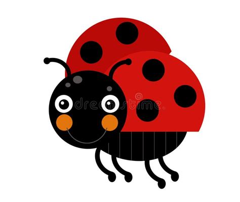 Cartoon Animal Insect Ladybug on White Background Illustration for ...