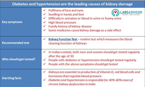 KIDNEY FUNCTION TEST / KFT / RENAL PROFILE | Know Your Tests | LabsAdvisor