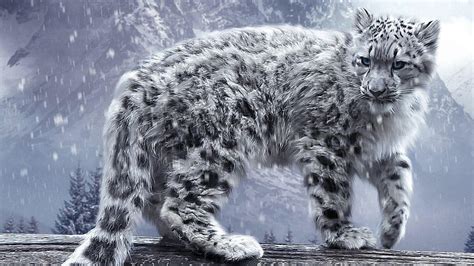 Snow Leopard, Awesome Leopard HD wallpaper | Pxfuel