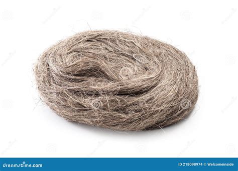 Oakum Isolated. Hemp Fiber. Thread Sealing Stock Photo - Image of sealing, taps: 218098974