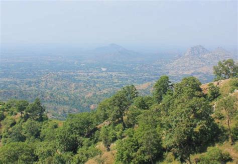 How A Rajasthan Village Halted Desertification, One Common Land At A Time