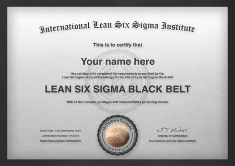 Instructor Led 8-day Black Belt Training International Accredited ...