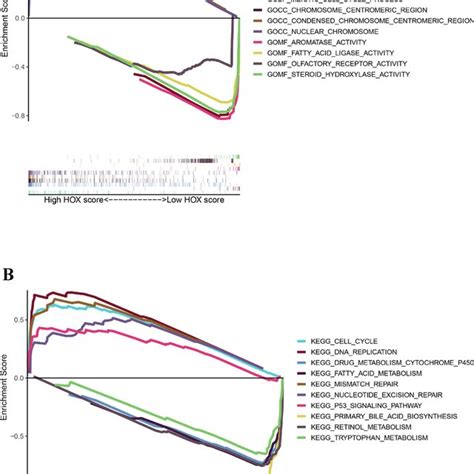 Landscape of expression and prognosis of 39 HOX genes in hepatocellular... | Download Scientific ...