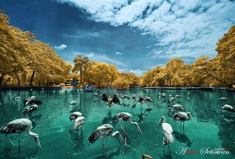 Download Photography Infrared HD Wallpaper